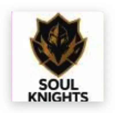 Soul Knights
